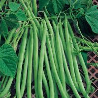 Emerite Pole Beans on tray
