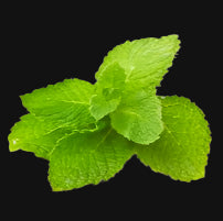 English Spearmint