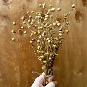 A Tasty Flax Spray