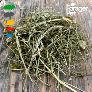 Mélange de fourrage pour prairies