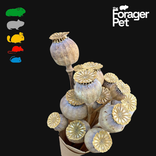 Poppy Spray