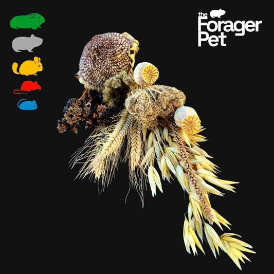 Collection de vaporisateurs biologiques pour hamsters | 100 % CULTIVÉS AU CANADA