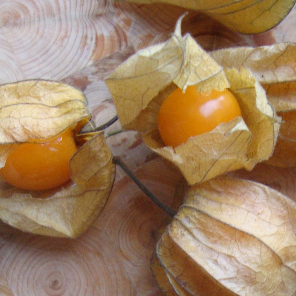 Golden berry