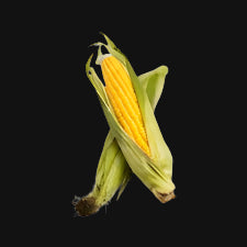 Golden Bantam Sweet Corn