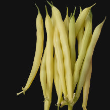 Goldrush Bush Bean