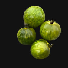 Green Zebra Tomato