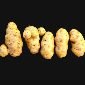 Haida Potato