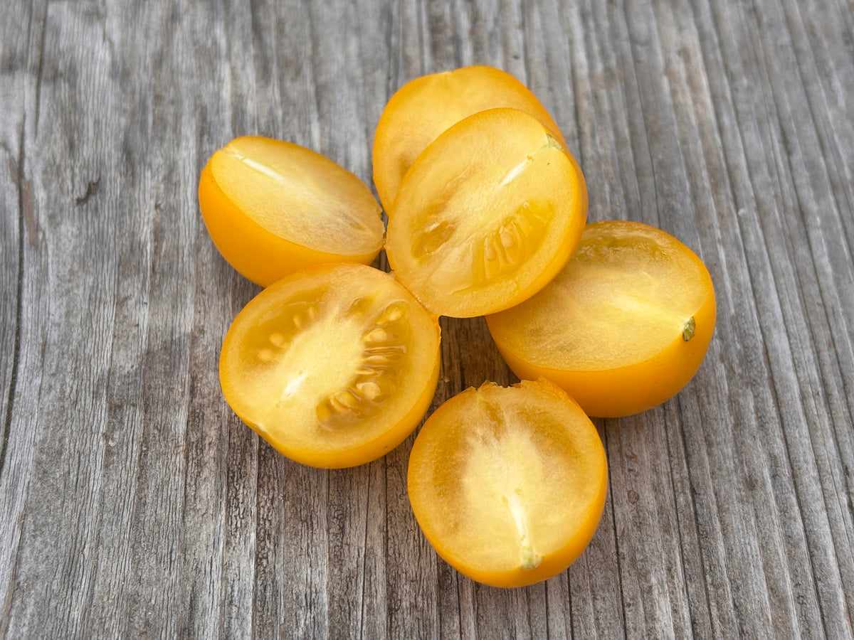 Tomate pépite d'or