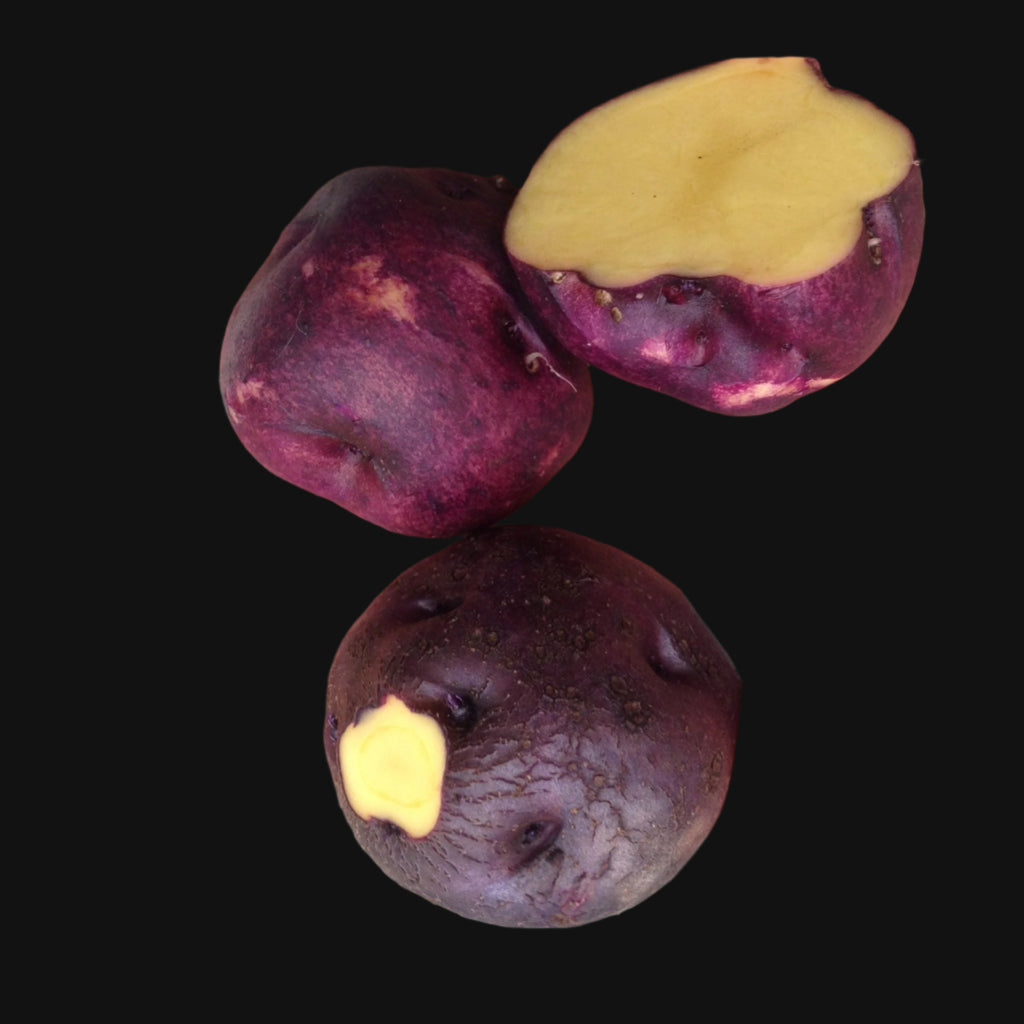 Orozco Potato