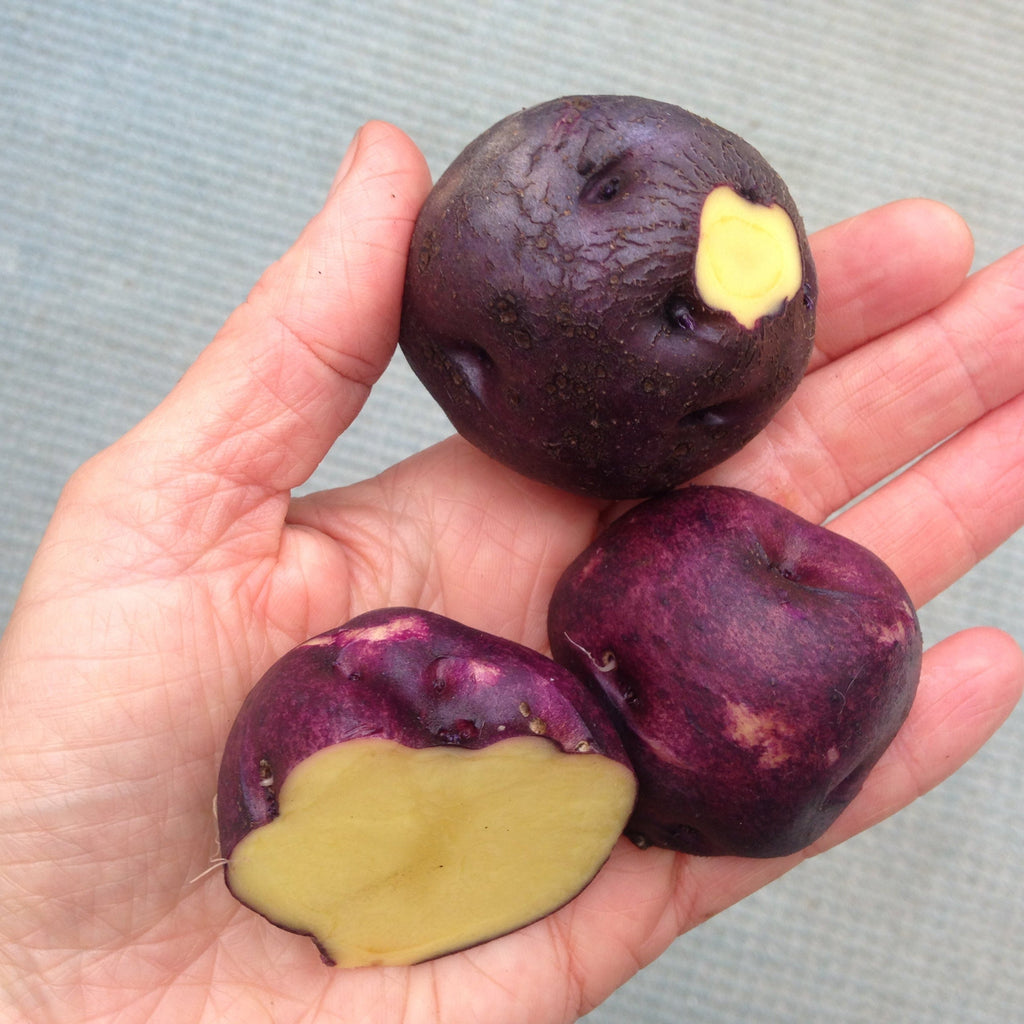 Potatoes