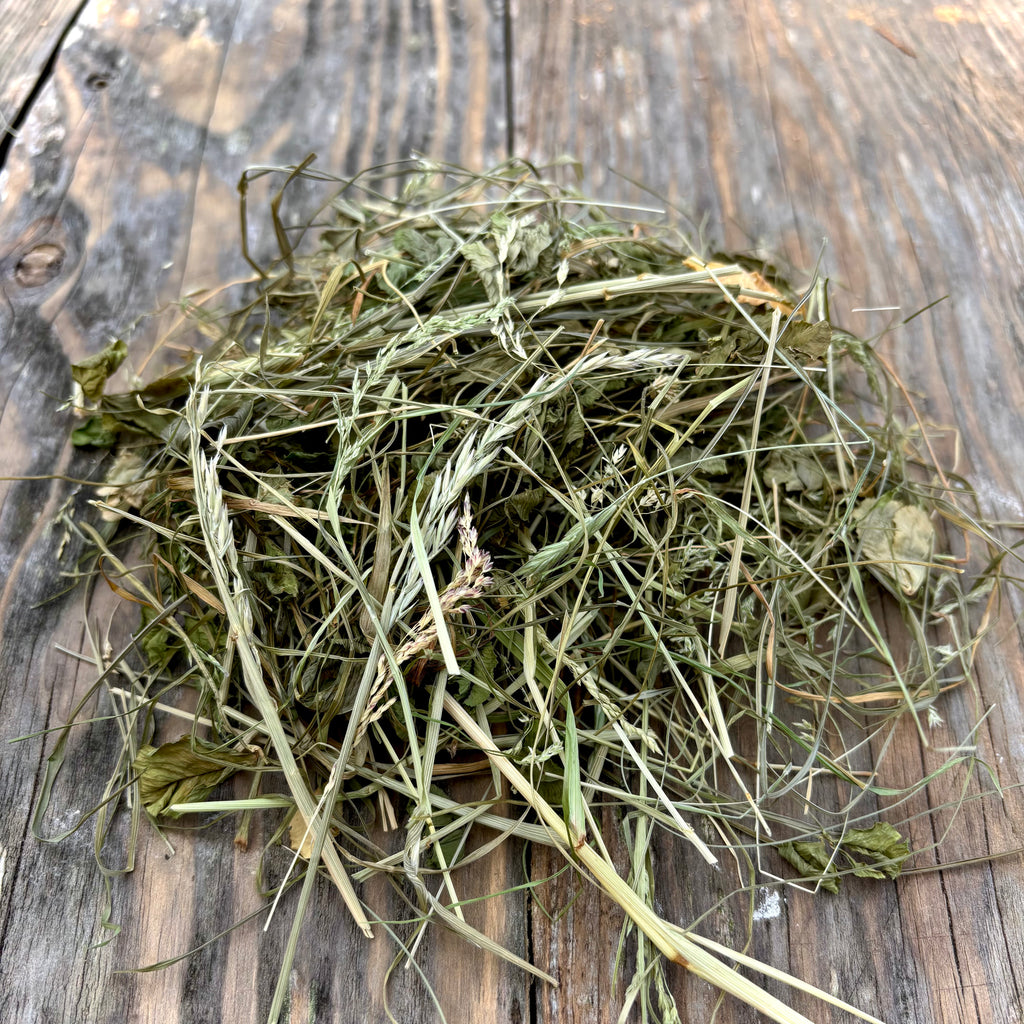 Mélange de fourrage pour prairies