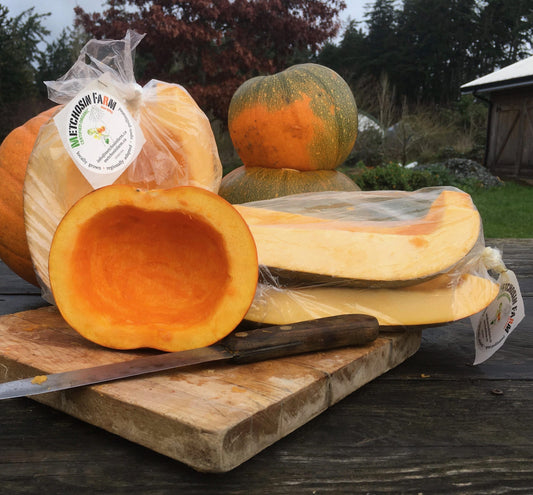 Jack O' Lantern Pumpkin