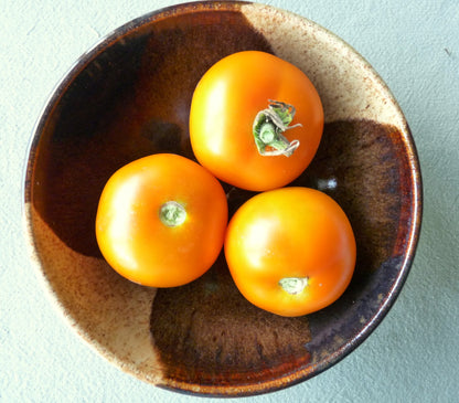 Jaune de Flammé Tomato