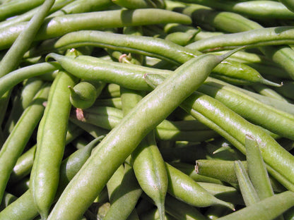 Jersey Pole Bean