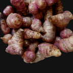 Jerusalem Artichoke