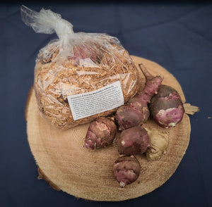 Jerusalem Artichoke (Pre-Order)