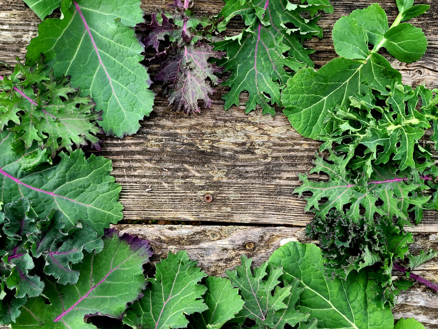 Kale Mix