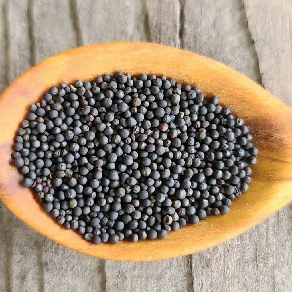 Kale Seeds