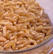 Khorasan Wheat Grains