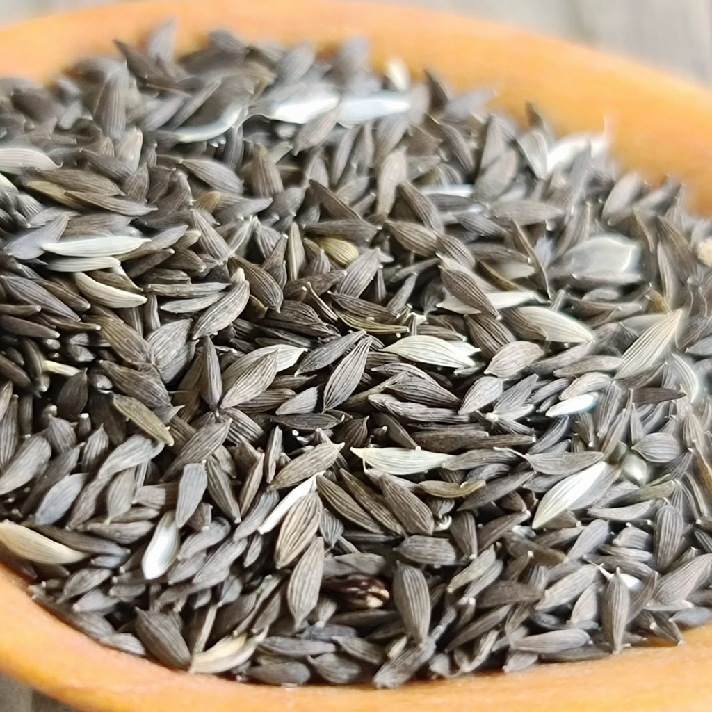 Lettuce Seeds