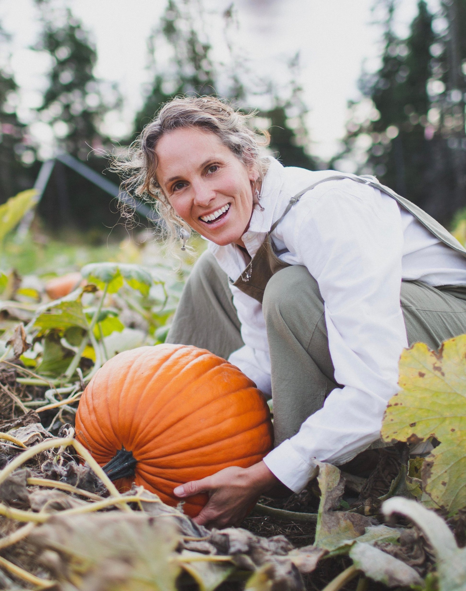 Howden Pumpkin