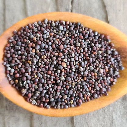 Mesclun Mix Seeds