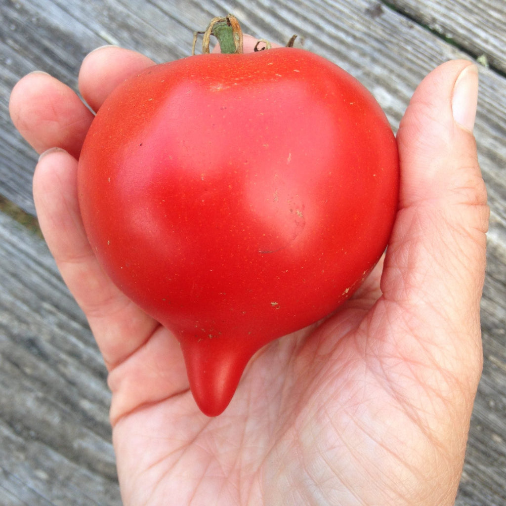 The Totally Tomatoes Collection