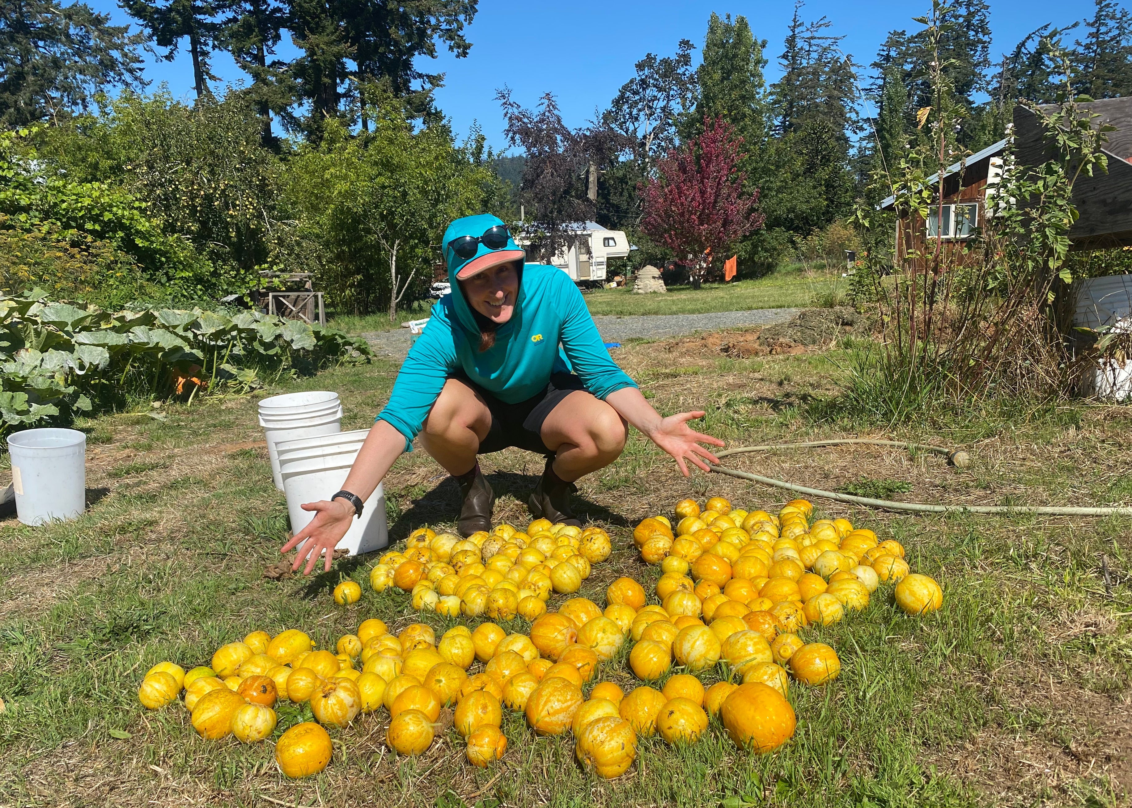 Person with Yellow Cucumbers on grass with buildings in the background