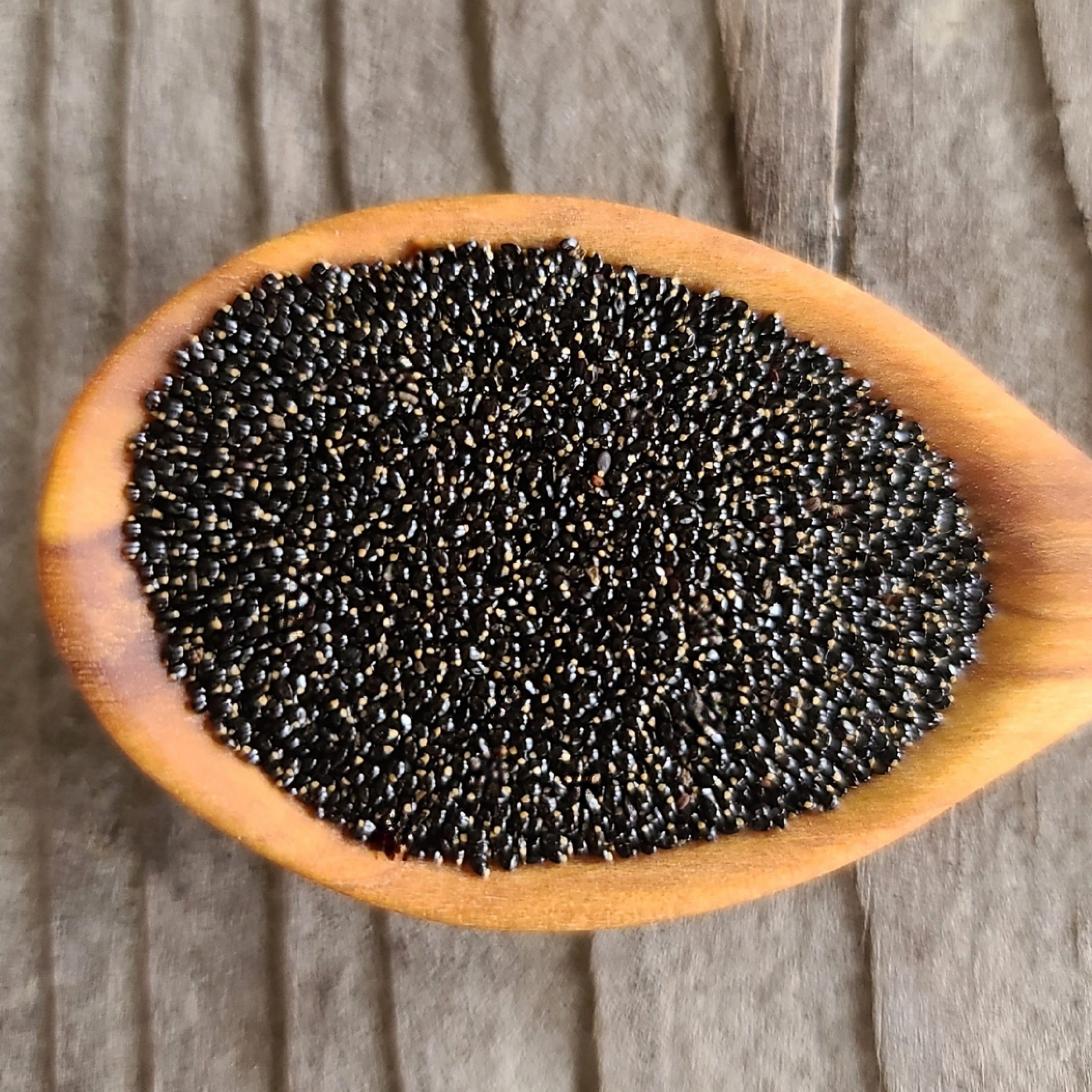 Miner's Lettuce seeds