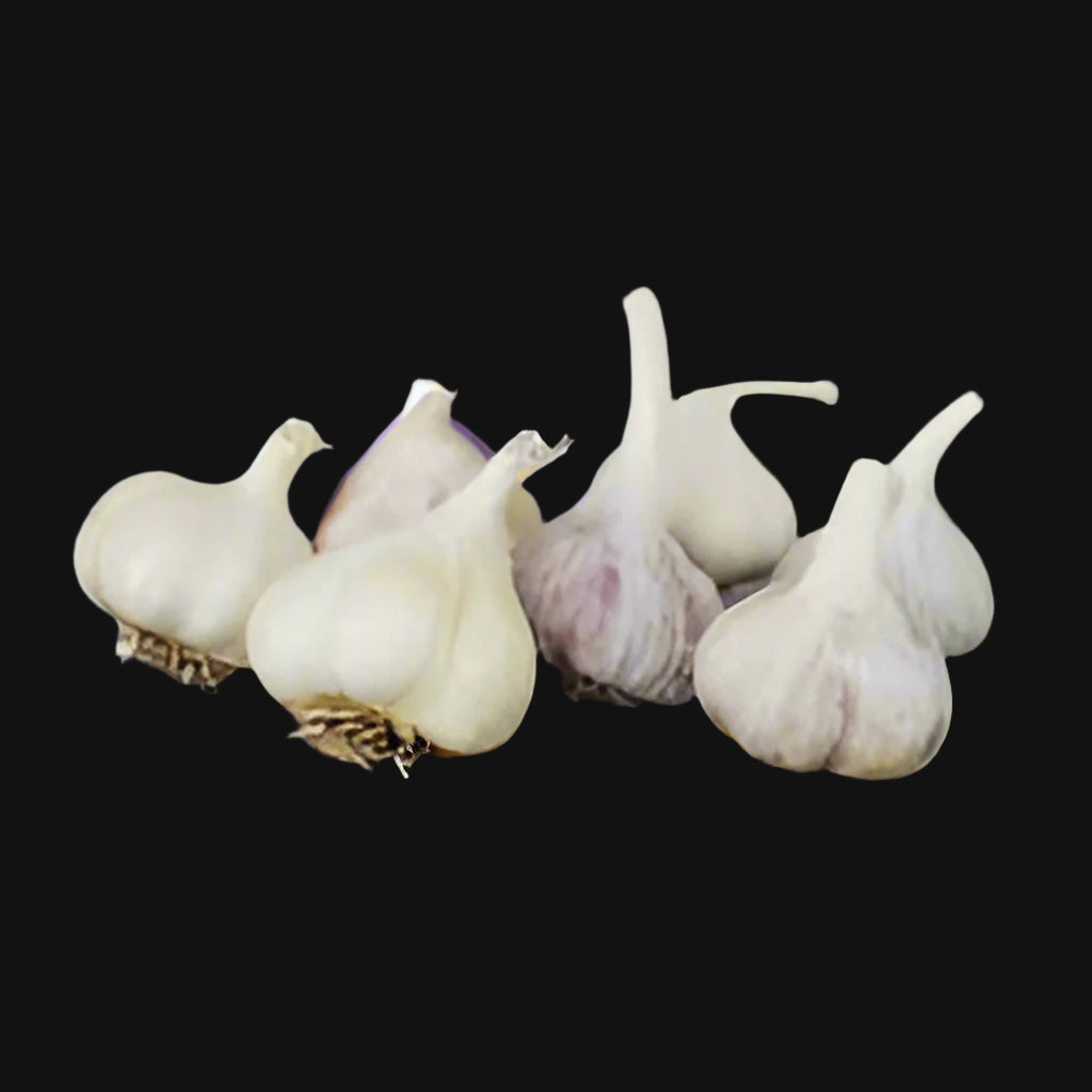 Mixed Garlic Bulbils