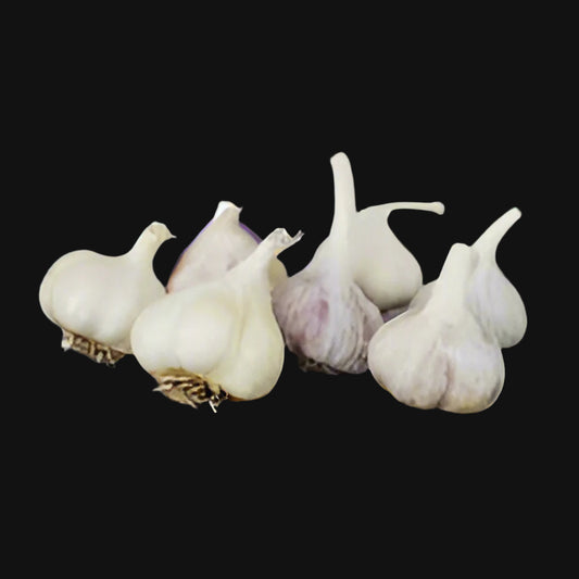 (pre-order) Mixed Garlic Bulbils