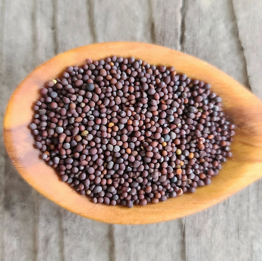 Mizuna Seeds