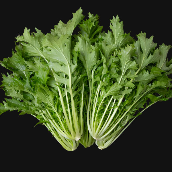 Mizuna