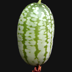 Mouse Melon