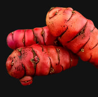 Oca or New Zealand Yam