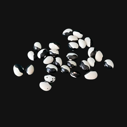 Orca Bush Beans