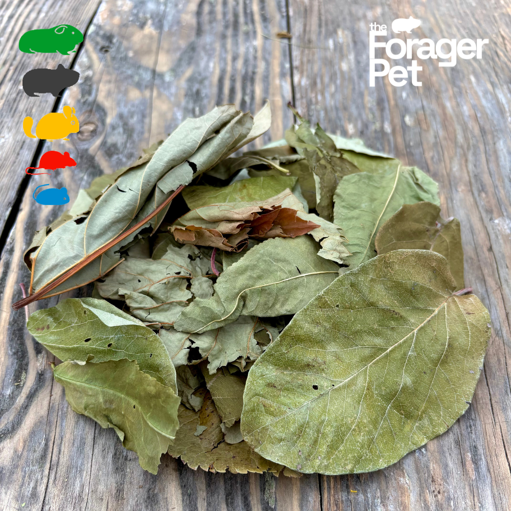 Orchard Experience Mix