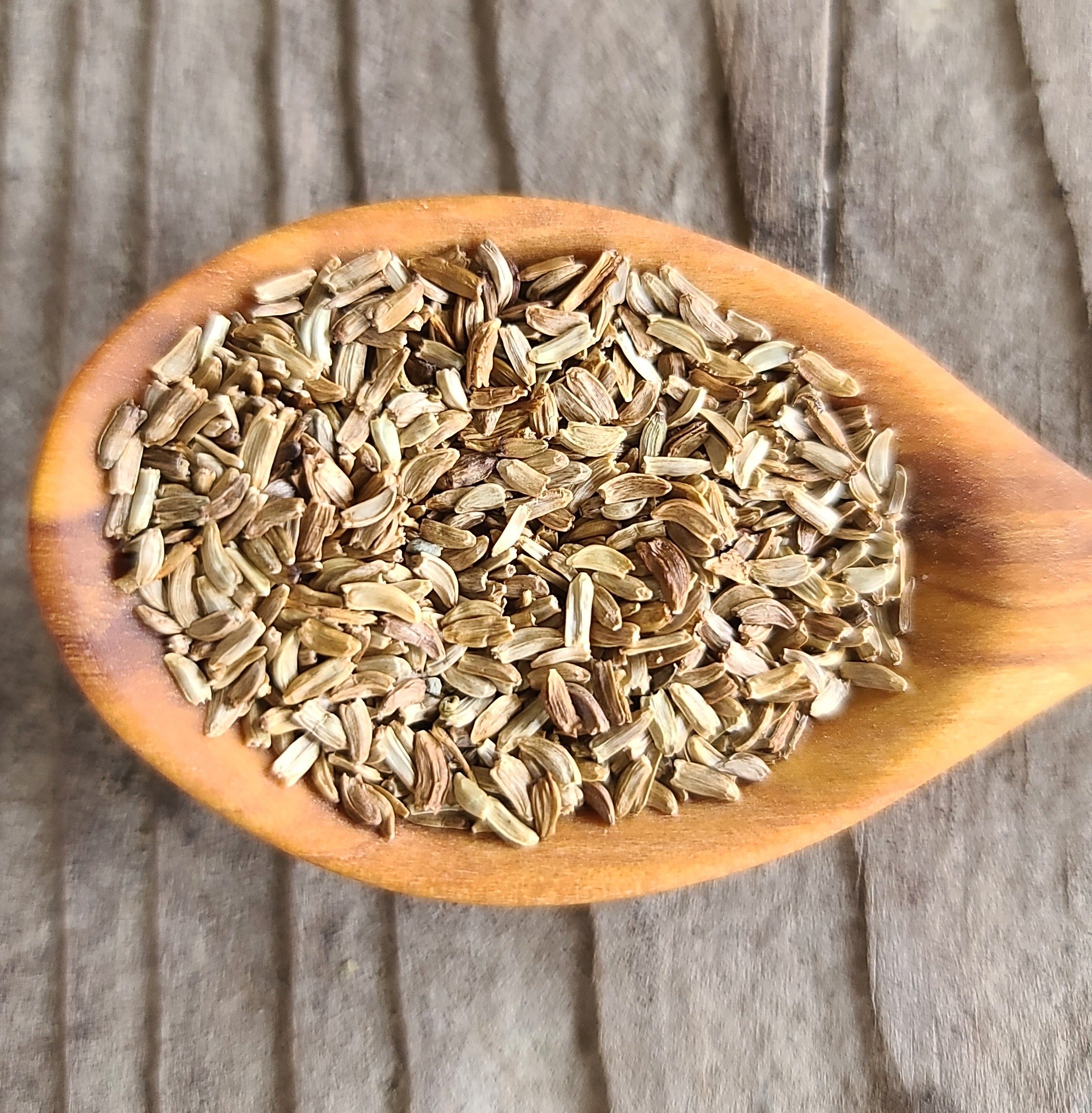 Oregon Gumweed Seeds