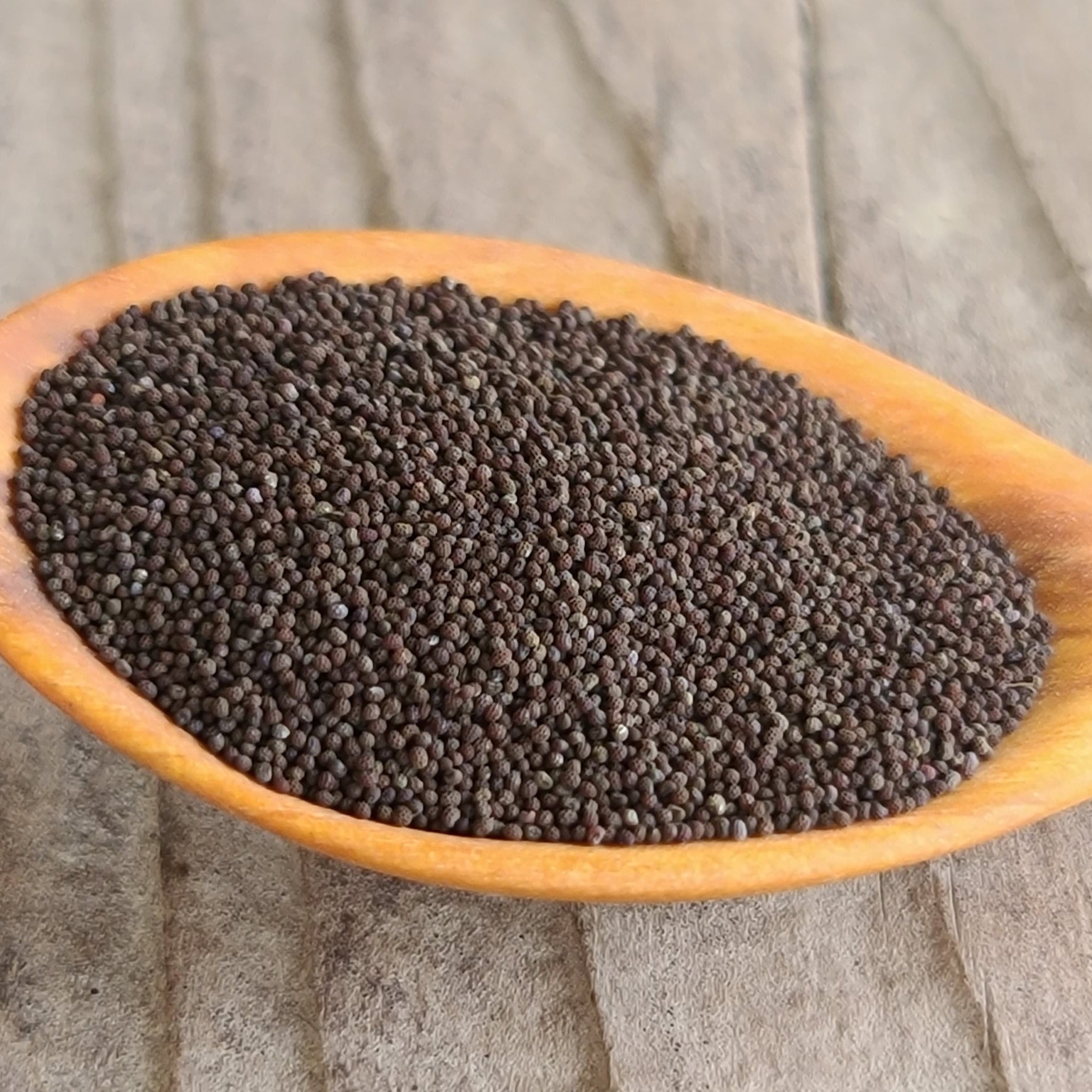 Oriental Poppy seeds