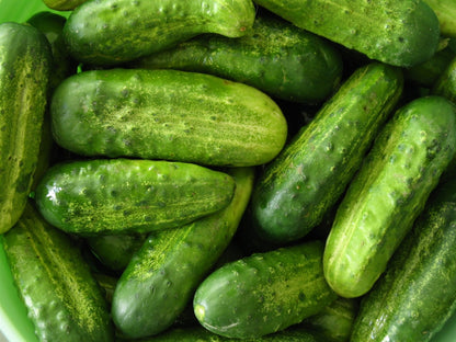 Pickling Cucumber