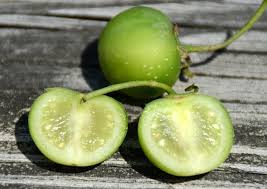 Potato Fruit Seeds