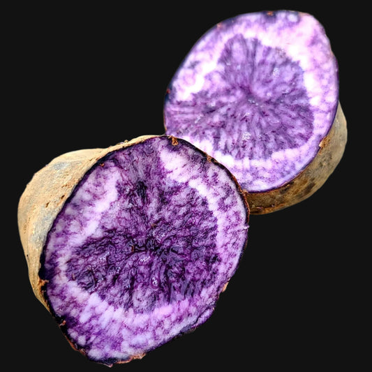 (pre-order) My Chosen Purple Seed Potatoes