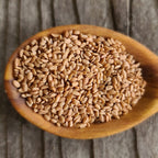 Red Elderberry Seeds