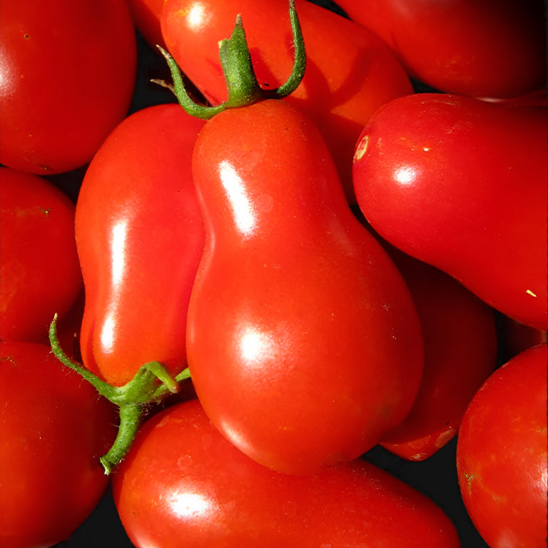 Red Pear Tomato