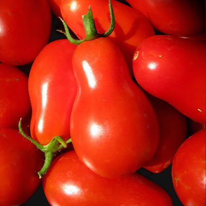 Red Pear Tomato