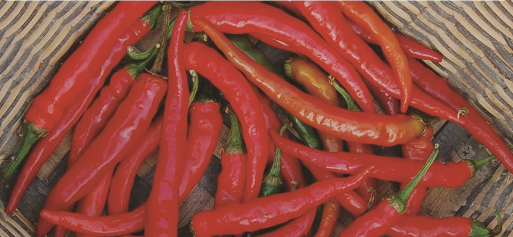 Ring-O-Fire Hot Pepper