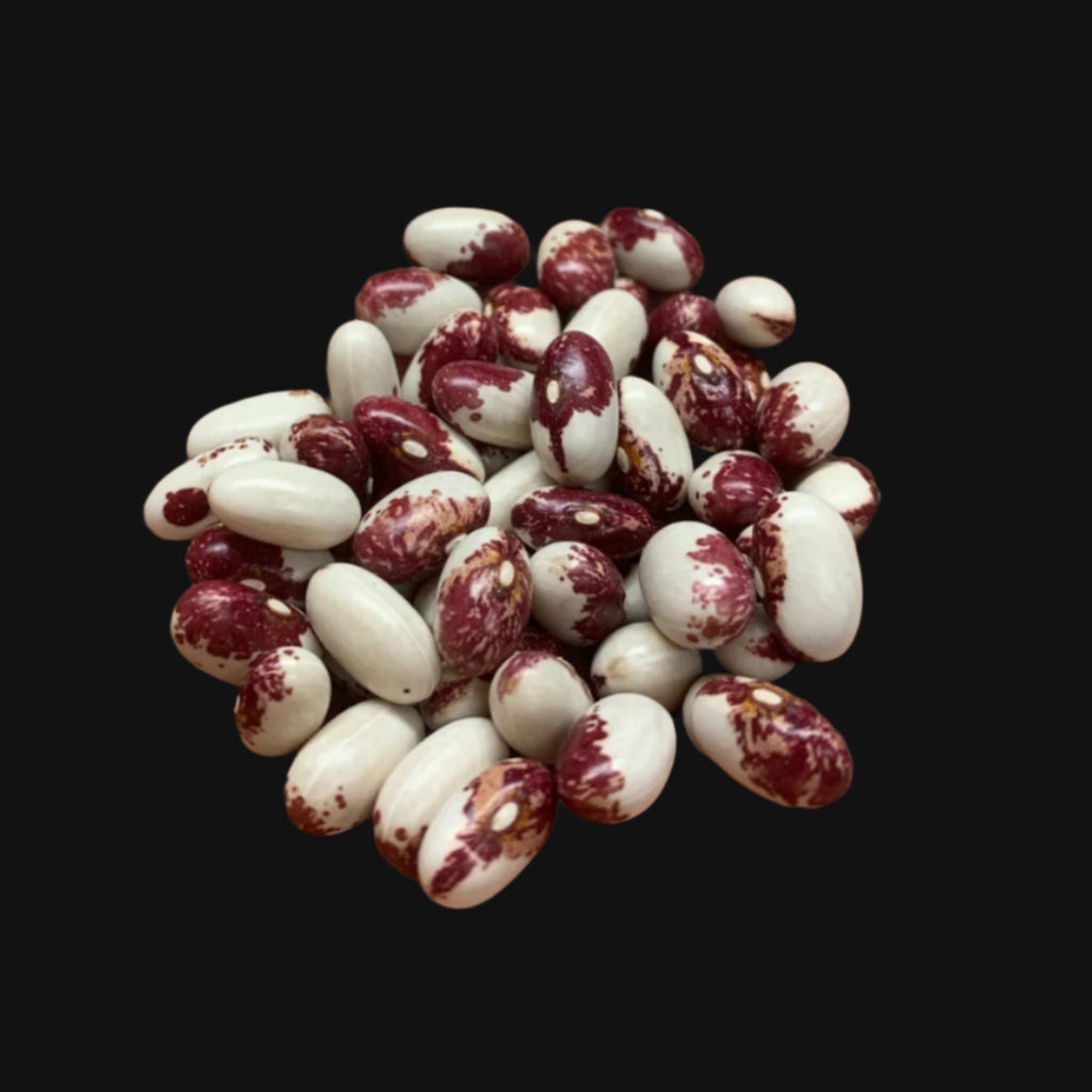Rockwell Bush Bean