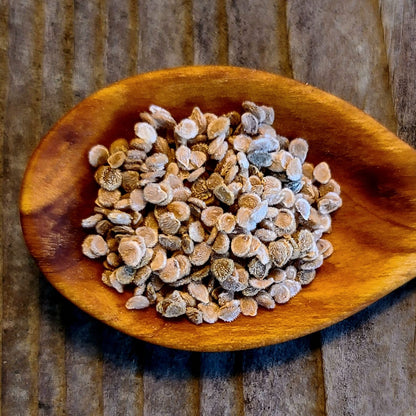 Roma Paste Tomato Mix seeds