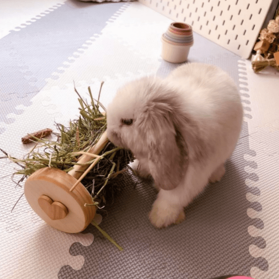 Small Animal Hay Rollers