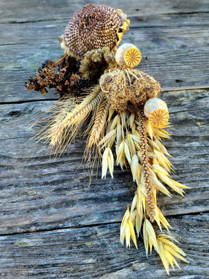 Close-up of Organic Hamster Spay